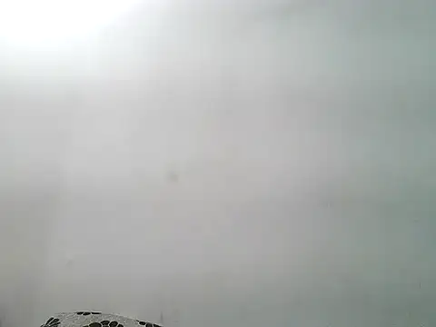 Aarohi An online show from 11.17.25