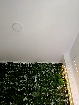 RosseCollins online show from 11.09.25