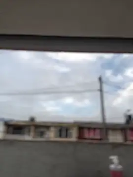 Sallem Pink online show from 03.19.26