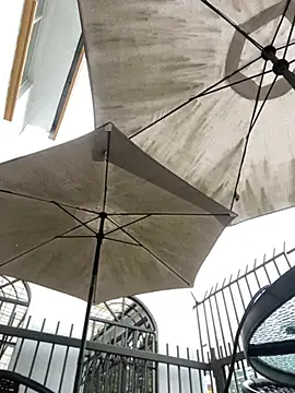 Sallem Pink online show from 03.31.26