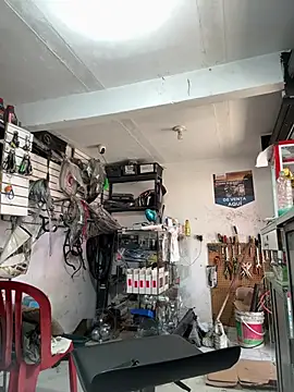 Terra-22cm online show from 01.18.26