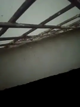 Snapshot of Daisygirl9 chatting on 10.22.25 Daisygirl9 online show from 10.22.25