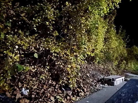 sloppytopkins online show from 11.06.25