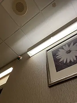 Tu GataLinda online show from 11.01.25