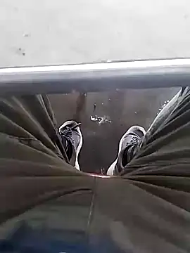 Aliyeni1 online show from 12.01.25