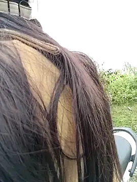 asian 2k online show from 11.23.25