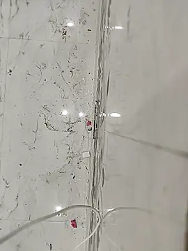 Snapshot of Sakhi-Queen01 chatting on 09.11.25 Sakhi-Queen01 online show from 09.11.25