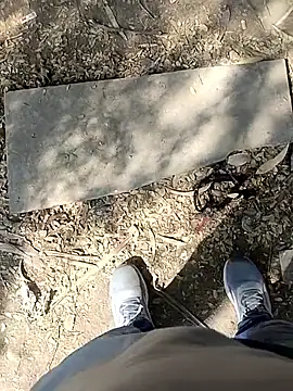 indian pavi online show from 01.19.26