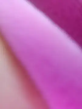 Snapshot of ShineBright88 chatting on 10.30.25 ShineBright88 online show from 10.30.25