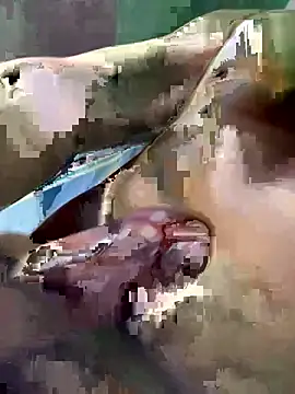 Huynh-duc-huy online show from 02.05.26