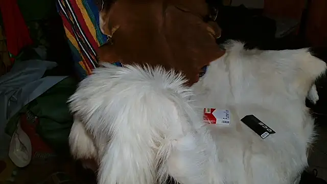 Snapshot of JUSTFORRICH chatting on 01.08.26 JUSTFORRICH online show from 01.08.26