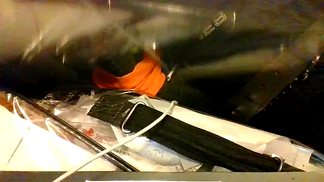 BBCGottii online show from 03.17.26