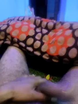 pppppp7811 online show from 02.14.26