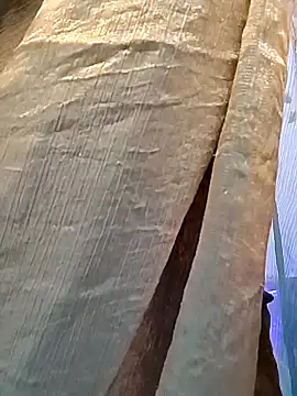 SEEMA 127 online show from 02.23.26