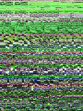 Snapshot of lynn9000 chatting on 11.20.25 lynn9000 online show from 11.20.25