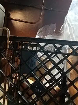 sarahkat86 online show from 11.06.25