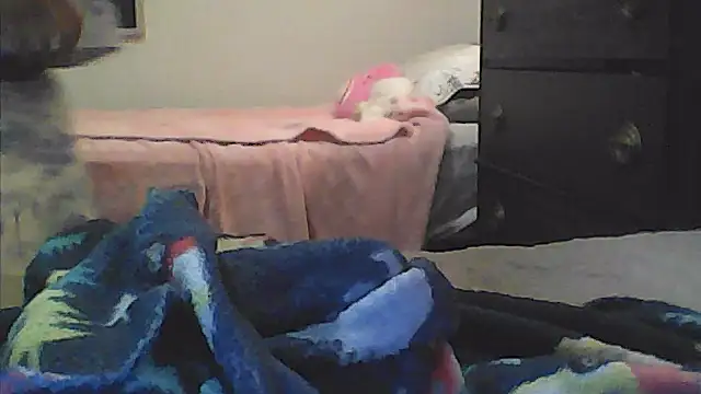 sarahkat86 online show from 01.10.26