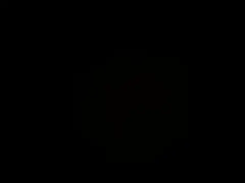 Salon1986 online show from 10.29.25