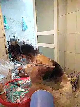 naop04 online show from 10.21.25