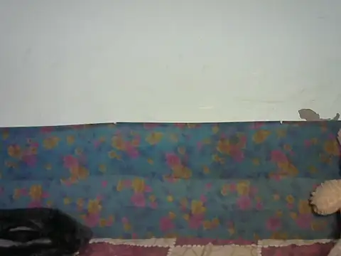 Baby doll9090 online show from 01.14.26