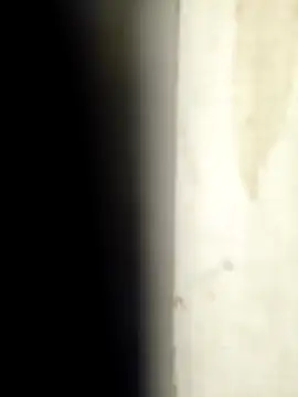 Snapshot of Sonalihot_ chatting on 03.01.26 Sonalihot online show from 03.01.26