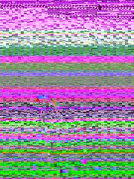 Snapshot of pnwzo chatting on 10.03.25 pnwzo online show from 10.03.25