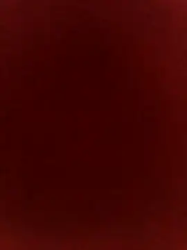 sanu 07 online show from 04.15.26