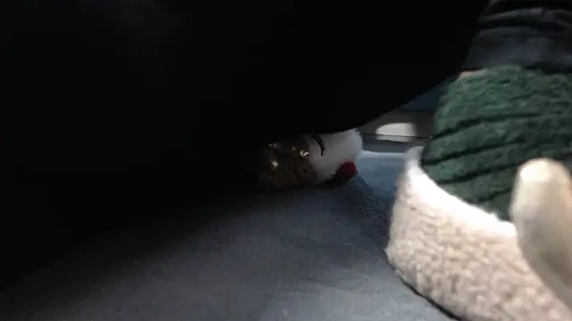 aellabeyonce online show from 12.05.25