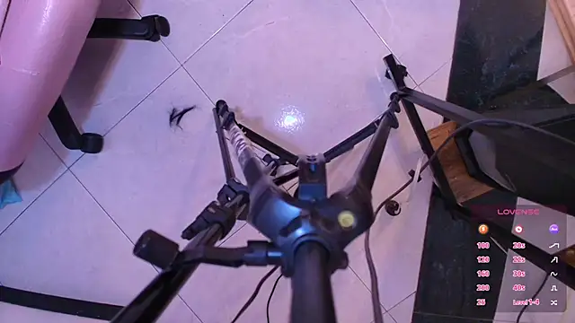 Terraelowen online show from 11.01.25