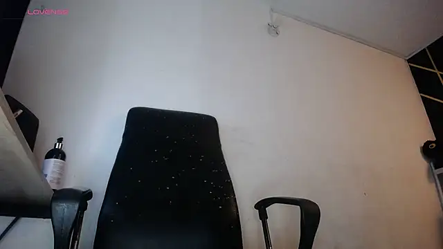 Snapshot of LickMyInk chatting on 02.01.26 LickMyInk online show from 02.01.26