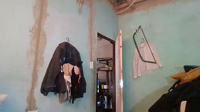 Nicky52 online show from 11.08.25