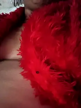 Snapshot of heena3355 chatting on 11.20.25 heena3355 online show from 11.20.25