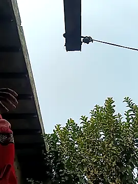 Snapshot of heena3355 chatting on 12.02.25 heena3355 online show from 12.02.25