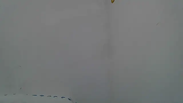 Kevintdx online show from 04.11.26