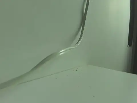 Snapshot of BrigthIbarra chatting on 11.12.25 BrigthIbarra online show from 11.12.25