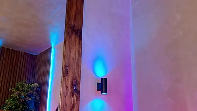 kaylie mitchel online show from 02.28.26