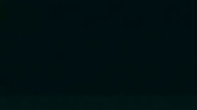 LeeCox online show from 12.21.24