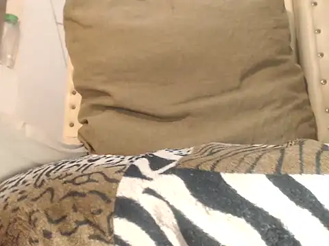 Snapshot of HOLYcummerTS chatting on 12.02.25 HOLYcummerTS online show from 12.02.25