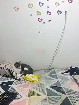 tany90 online show from 10.31.25