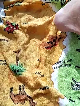 pegaso369 online show from 02.27.26