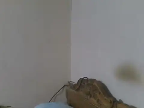 elpoop7305 online show from 06.08.26