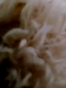 hanan-sex online show from 11.29.25