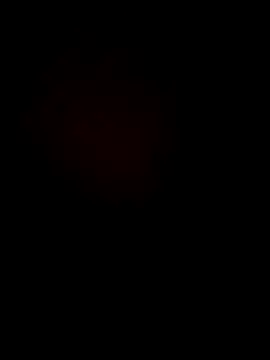 Funny Karina online show from 11.27.25