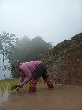 CoMay003 online show from 04.18.26