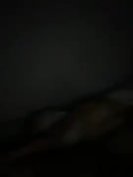 Smallboybigworld online show from 02.11.26