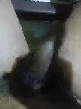 Vizgeboys online show from 02.28.26