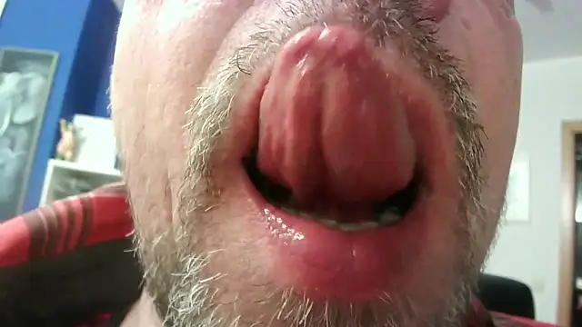 Snapshot of circus_bear@xh chatting on 11.23.25 circus bearxh online show from 11.23.25