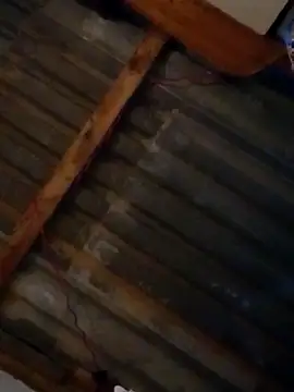 LUISSLEONN0958 online show from 09.25.25