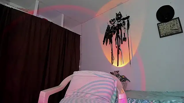 dex 55 online show from 04.02.26