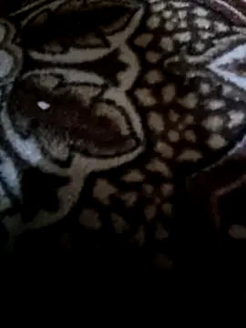 Lawrence067 online show from 02.11.26